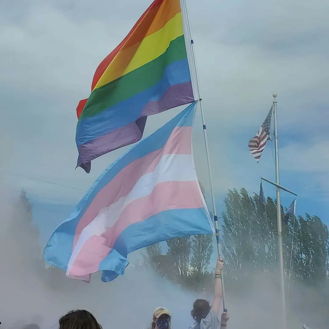 LGBTQ and Trans pride flags